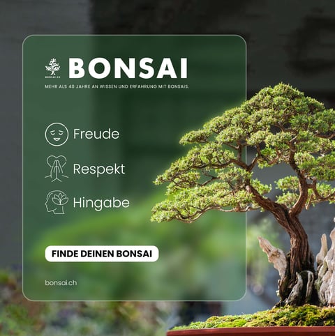 Home & Art Digital Performance Marketing